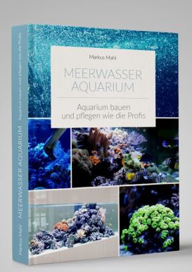 Persönlich Beratung durch den Meerwasseraquaristik-Profi Markus Mahl (30 Minuten)